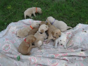 Group pic @ 4 weeks!